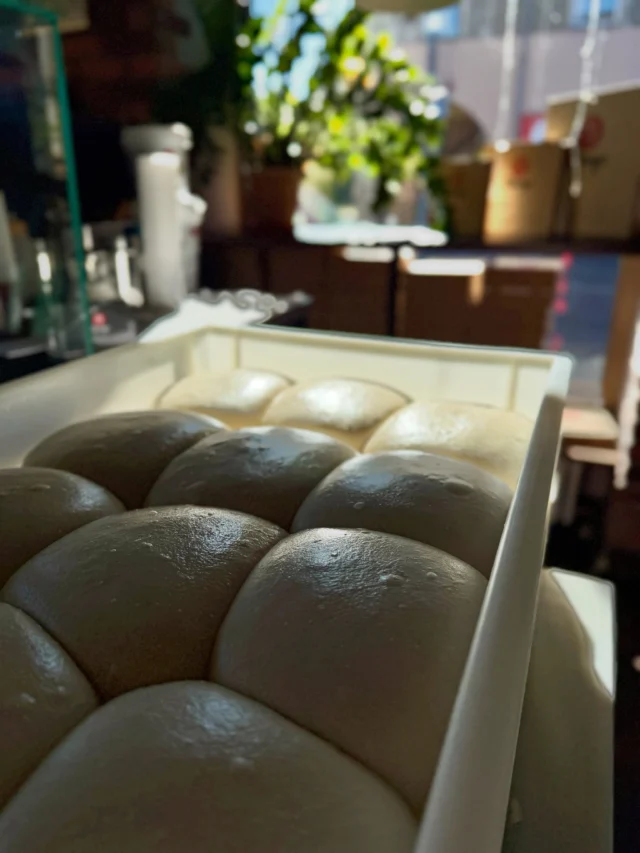 Dough perfection 🤯 BTW letztes Bild!!! 🫪

Lust auf eine Pizza Crispy Napoli? 🍕

Komm vorbei oder bestelle zum liefern oder selber abholen! 🥰

📍Siprego | Hessenbachstraße 1 | 86157 Augsburg

☎️ +49(0)821 20817218

🛒 siprego.de

#pizza #pizzadough #pizzeria #augsburgcity